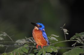 DSC_4880.JPG