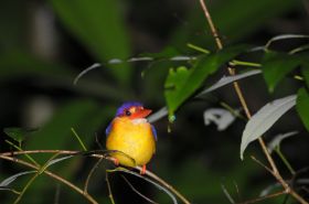 DSC_5152.JPG