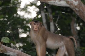 DSC_5323.JPG