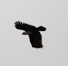 DSC_8405 (2).JPG