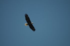DSC_7116.JPG