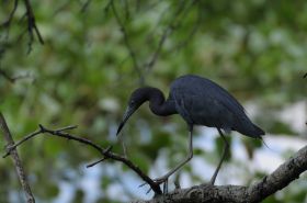 DSC_7222.JPG