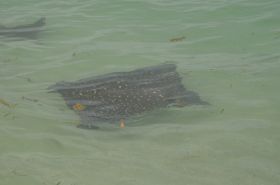 DSC_0100.JPG