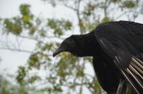 DSC_0074.JPG